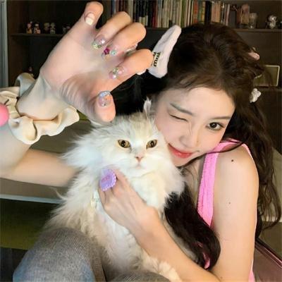 失衡凶间之罪与杀【国语版】